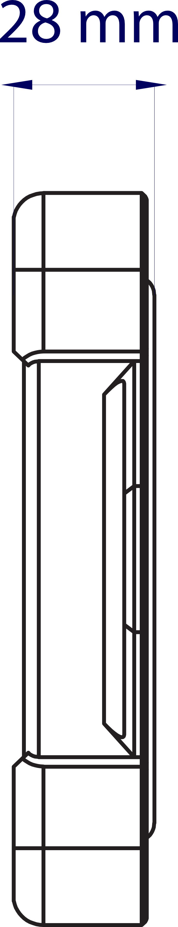tanya 8 transparent